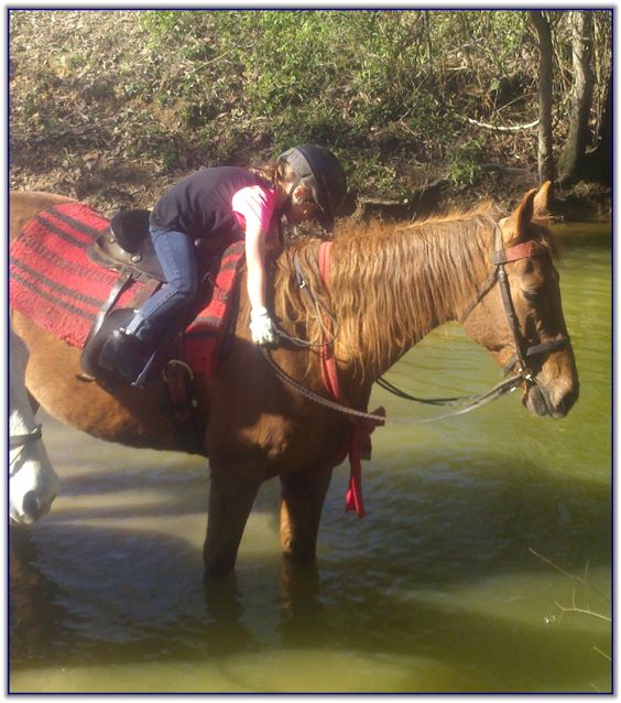 Trail Rides at Peavine Creek Farm Trail Rides at Peavine Creek Farm