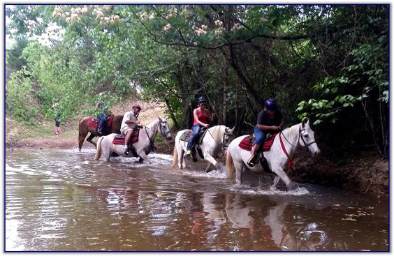 Trail Rides at Peavine Creek Farm Trail Rides at Peavine Creek Farm