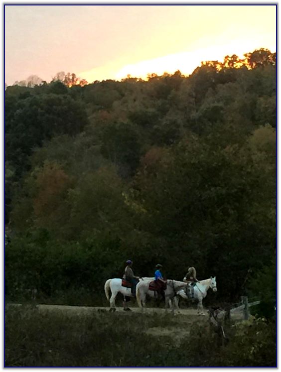 Trail Rides at Peavine Creek Farm Trail Rides at Peavine Creek Farm