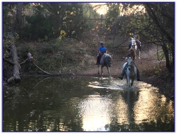 Trail Rides at Peavine Creek Farm Trail Rides at Peavine Creek Farm
