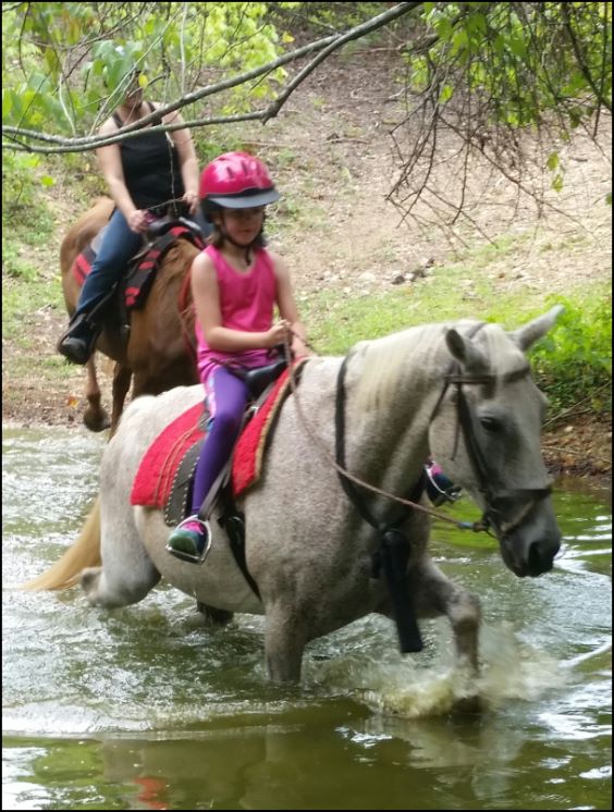 Trail Rides at Peavine Creek Farm Trail Rides at Peavine Creek Farm